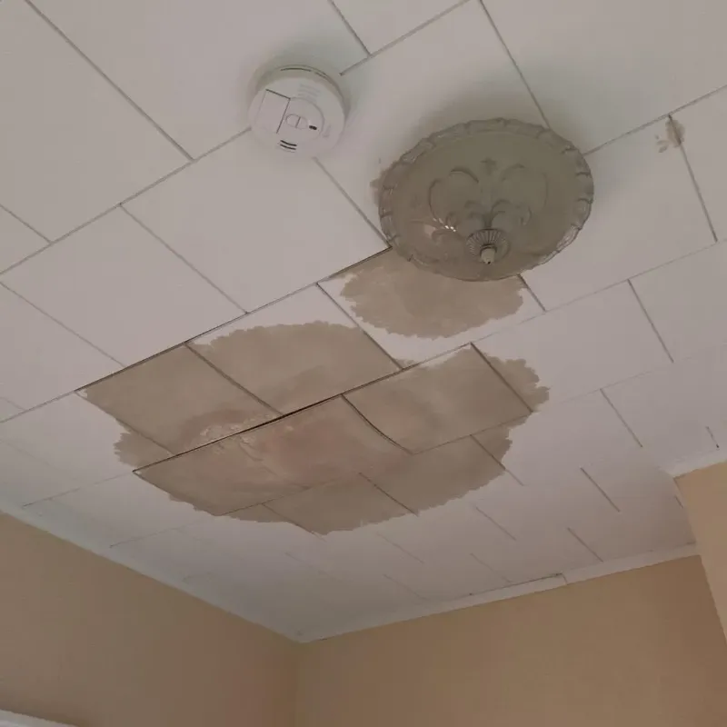 Ceiling Water Damage Repair in Grundy County, IL