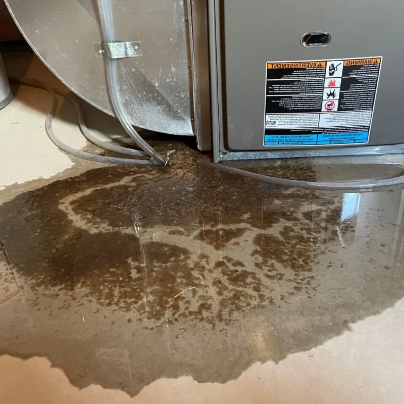 Pipe Burst and Leak Restoration in Grundy County, IL