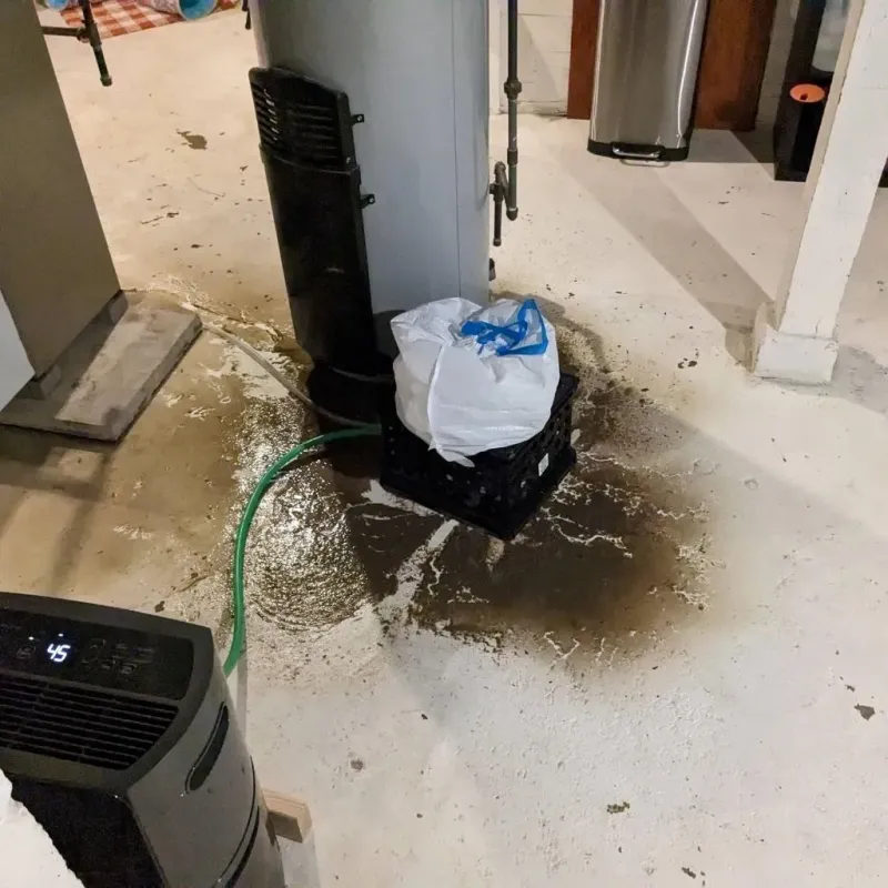 Sewage Backup Cleanup Service in Grundy County, IL